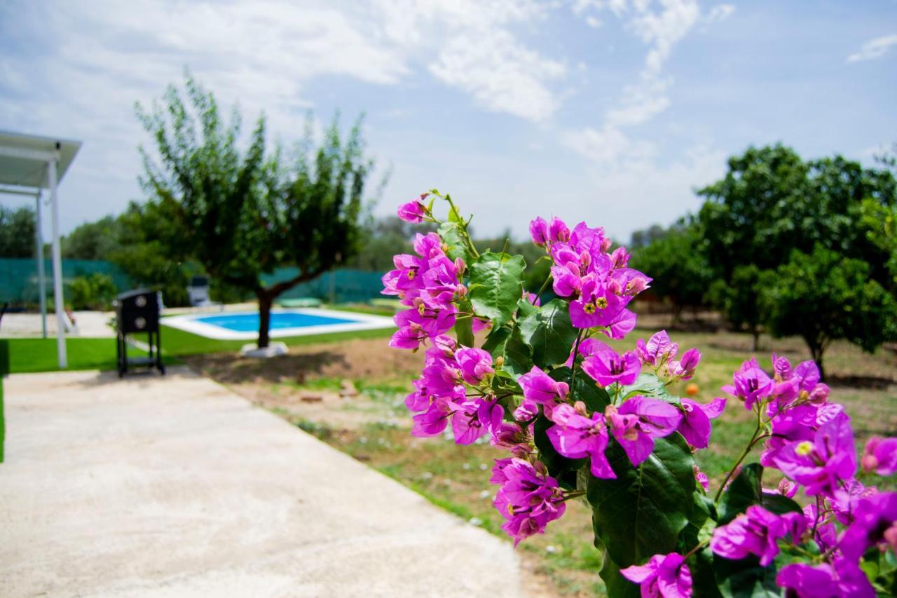 Villa La Casa Del Carreron Montilla Esterno foto