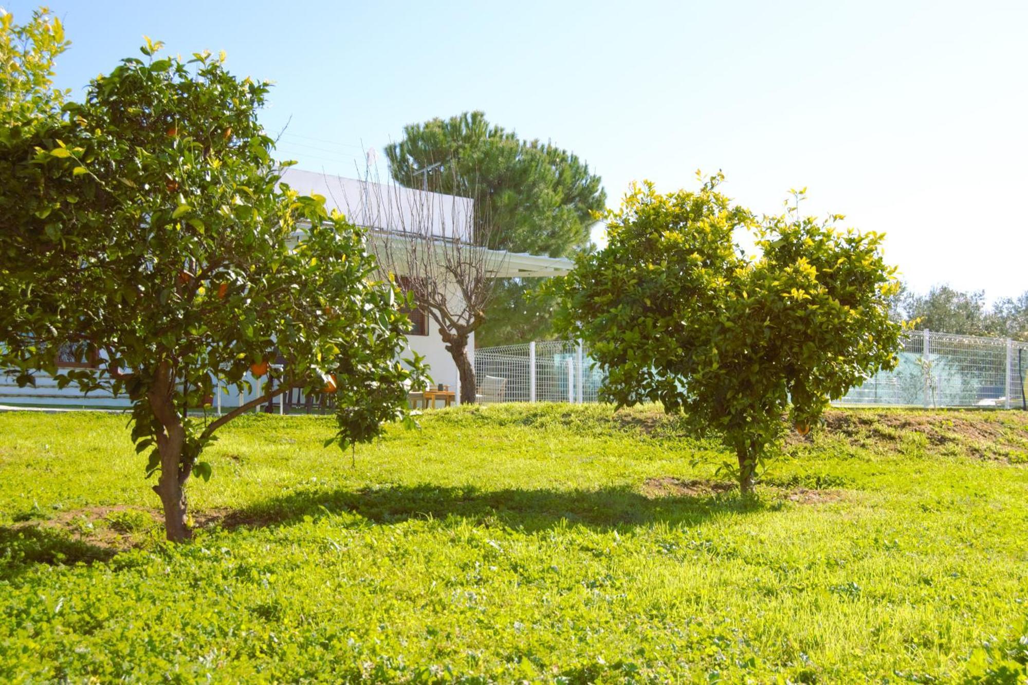 Villa La Casa Del Carreron Montilla Esterno foto